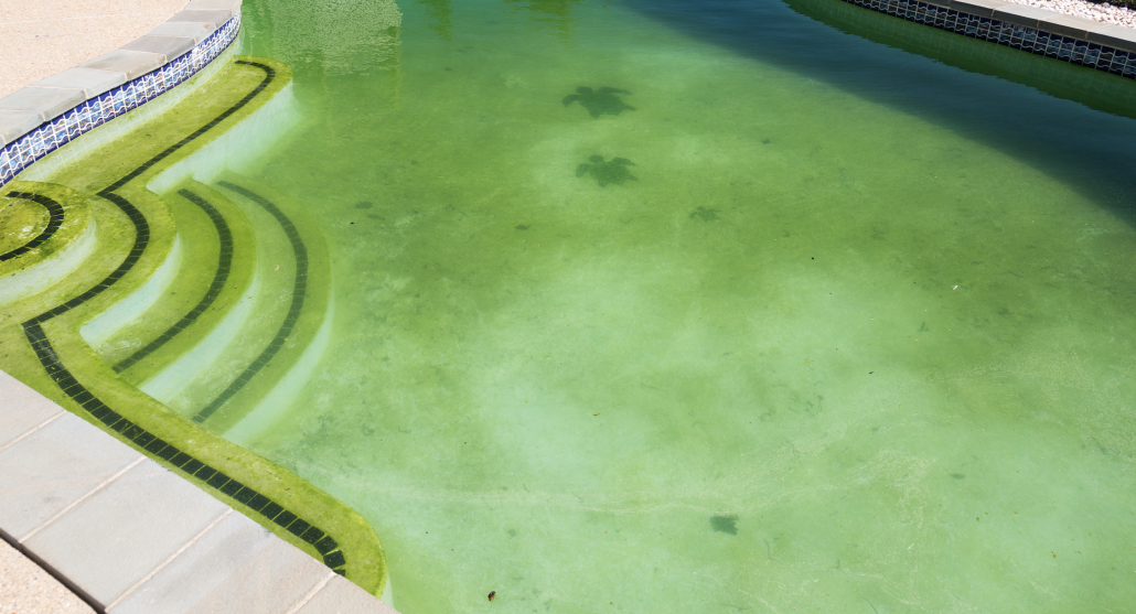 Dépannage Piscines 971